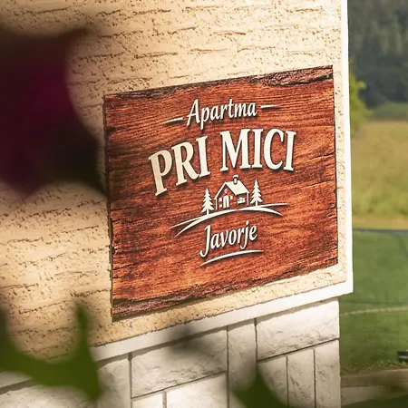 Apartma Pri Mici Javorje *