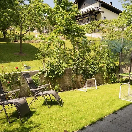 Apartma Pri Mici Javorje *